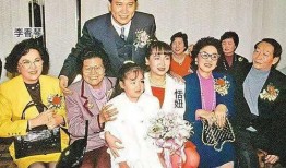 巨人电视剧万梓良在线观看,万梓良主演，在线观看的激情岁月