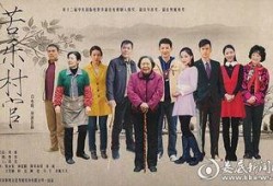 苦乐村官在线观看,见证农村变迁的基层奋斗者