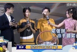 贾林真人秀爆料视频,幕后故事与真实情感大曝光