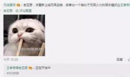 策划八哥爆料视频大全,视频大全背后的精彩故事