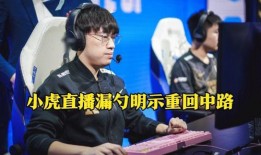 联盟最新爆料小虎是谁啊,揭秘神秘角色“小虎”的真实身份！