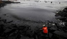 大连泉溪爆料事件视频,视频揭露惊人真相