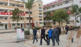 绵阳实验中学最新爆料事件,揭秘校园事件背后真相