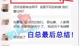 白哥爆料私信视频大全下载,私信视频大全下载全攻略