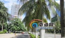 南海爆料新闻