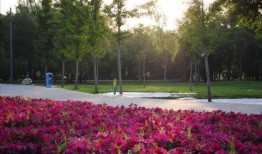 兰州植物园爆料视频最新,奇花异草绽放，生态美景引人入胜