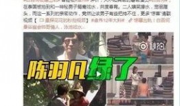 七日爆料陈皎月视频在线观看,陈皎月视频在线观看，揭秘幕后真相