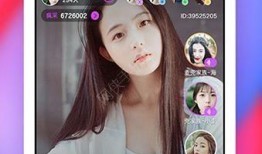 东坡爆料直播视频下载,揭秘幕后精彩瞬间