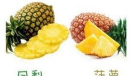 凤梨独家爆料是真的吗视频,揭秘“是真的吗”视频真相