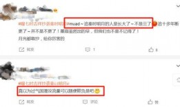 抄袭怎么爆料的歌曲视频,揭秘热门歌曲视频的抄袭真相