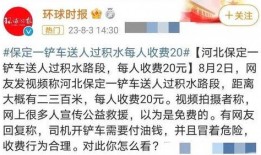 李女士爆料最新消息今天,今日重大新闻事件深度解析