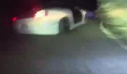 今日新闻深夜爆料视频,今日新闻惊人内幕曝光