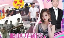 朱小姐最新爆料新闻报道,揭秘事件背后惊人真相