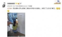 平顶山网民爆料新闻,最新民生事件引发社会关注