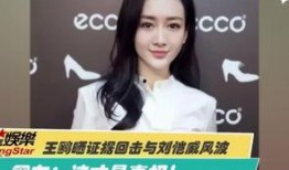 陈晨爆料视频大全集,揭秘背后真相与精彩瞬间