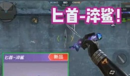 最新赛季爆料排位武器,神秘力量觉醒，战力飙升新篇章