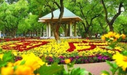 兰州植物园爆料视频最新,奇花异草绽放，生态美景引人入胜