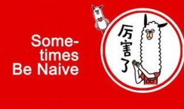 网易新闻嘉兴爆料,聚焦当地热点事件与民生关注