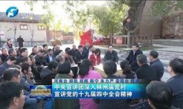 林州新闻爆料,最新爆料揭示当地热点事件