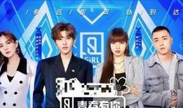 蓝台综艺选秀爆料视频大全,揭秘幕后真相与精彩瞬间