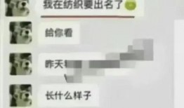 最近新瓜爆料聊天记录视频,揭秘聊天记录视频背后的惊人真相