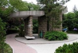 临沂公园爆料视频,揭秘公园里的惊人秘密