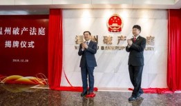 温州领导爆料新闻报道内容,揭开背后真相，深度解析事件始末