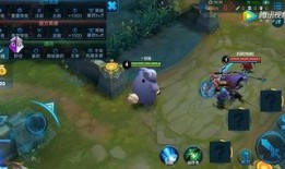 王者新英雄爆料公主视频,王者公主的华丽蜕变与神秘力量