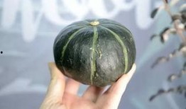 夸克抖音网红吃瓜,夸克抖音网红瓜界风云录