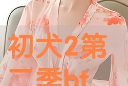 初犬第二季在线观看,续写热血传奇，在线观看激情再燃