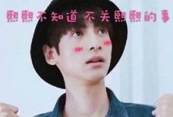 罗云熙狗子爆料视频,揭秘明星私生活幕后真相