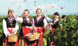 保加利亚最新爆料,揭秘神秘事件背后的真相