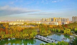 郑州大学城爆料事件最新,揭秘校园安全与管理的隐忧