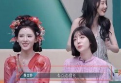 娱乐圈小娱吃瓜前线小说,小娱吃瓜前线，揭秘明星幕后风云