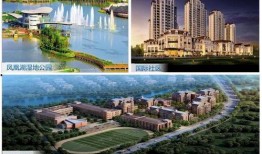 红港小镇爆料案件最新进展