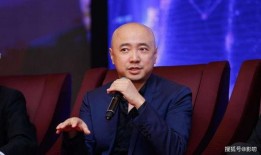 徐峥泳池爆料视频,揭秘娱乐圈幕后故事