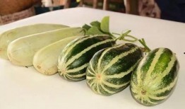 网红吃瓜不免费,免费还是付费？