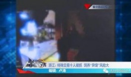 特殊的交易在线观看,在线观看全解析