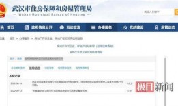极目新闻爆料网址是什么,揭秘最新爆料平台