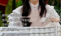 景甜采访爆料视频大全最新,揭秘幕后故事与心路历程