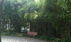 临沂公园爆料视频,揭秘公园里的惊人秘密