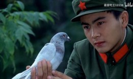 爆料娱乐军艺校草,揭秘爆料背后的娱乐军艺传奇