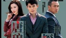 唐琅探案在线观看,揭秘古都奇案，在线追踪智慧之光