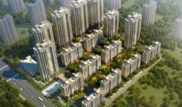 合肥最新爆料圈,揭秘城市热点与新鲜事