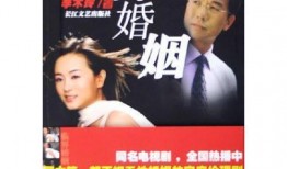 在线观看临界婚姻,揭秘现代家庭关系的危机与救赎