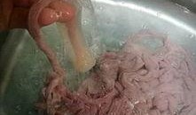 广式腊肠爆料视频播放大全,揭秘热门视频播放大全