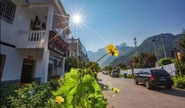 从化汾水村爆料最新消息,揭秘古村落神秘面纱