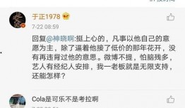 娱乐圈代号吃瓜TXT下载,揭秘明星幕后故事