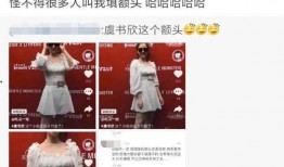 爆料娱乐圈的书