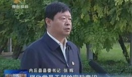 县委书记爆料新闻视频,新闻视频背后的惊人真相